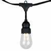 Photograph of 10Lt LED Filament WmWht Edison Set 18"Sp