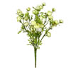 Photograph of 18" Light Green Ranunculus Bush