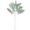 Photograph of 17'' Green Dusty Miller Spray 3/Pk
