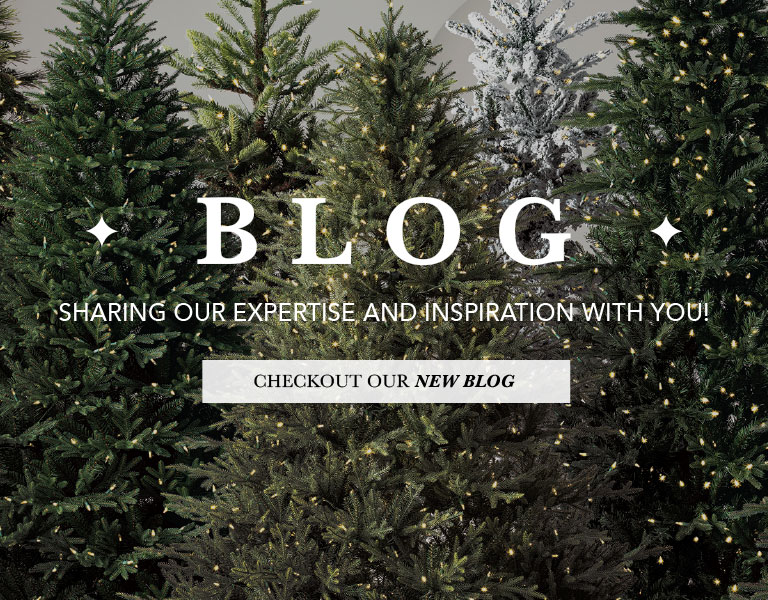 Photograph of trees and Blog