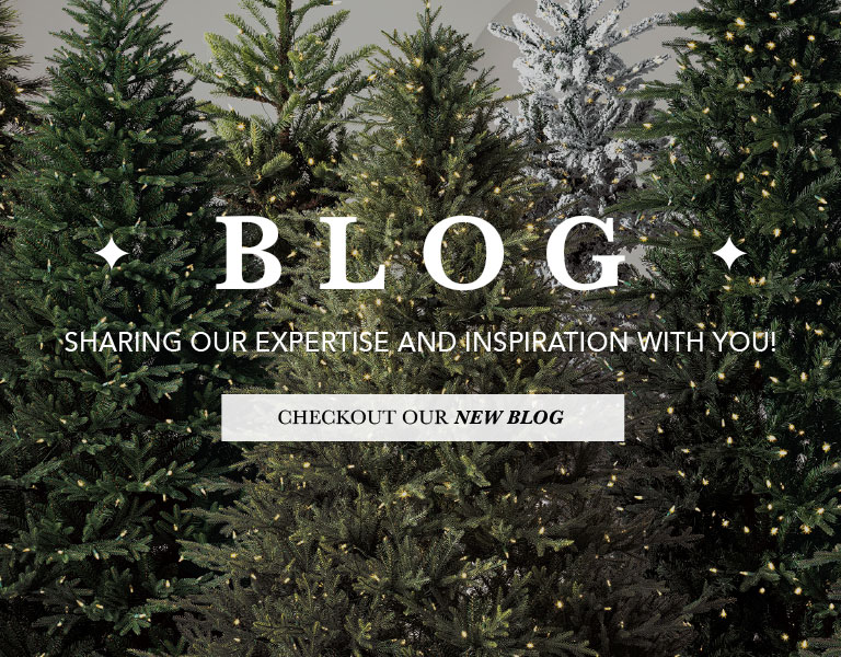 Photograph of trees and Blog