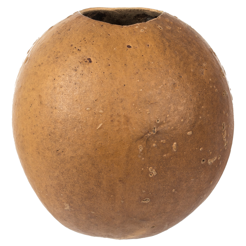 Vickerman 6-7" x 6-8" Bacacuia Gourd, Dried 3 Pack