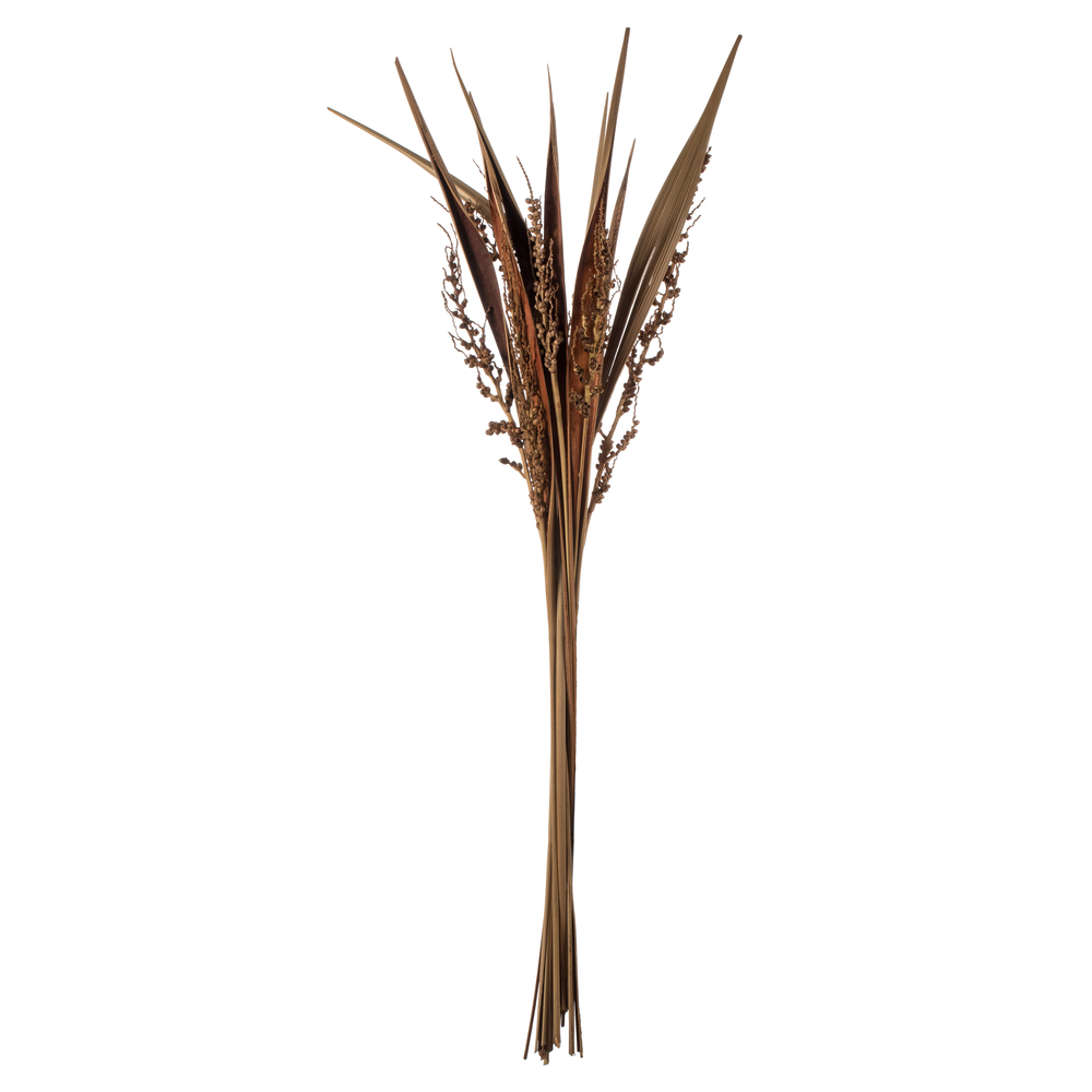 Vickerman 36" Bahia Spears with Seeds, Dried 18 Pack