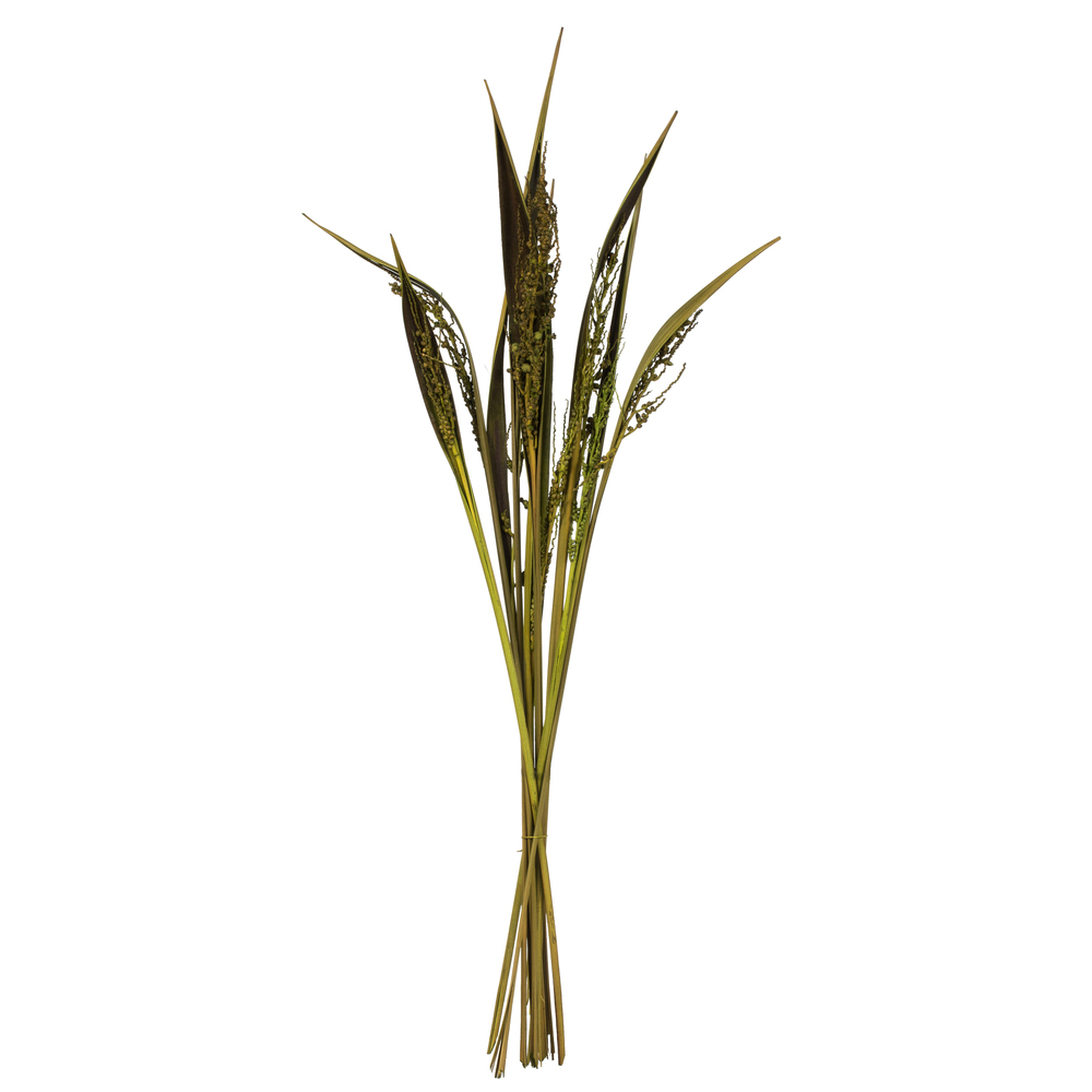 Vickerman 36" Bahia Spears with Seeds, Dried 9 Pack
