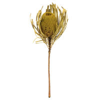 Vickerman 12" Natural Jumbo Banksia Flower with Stem