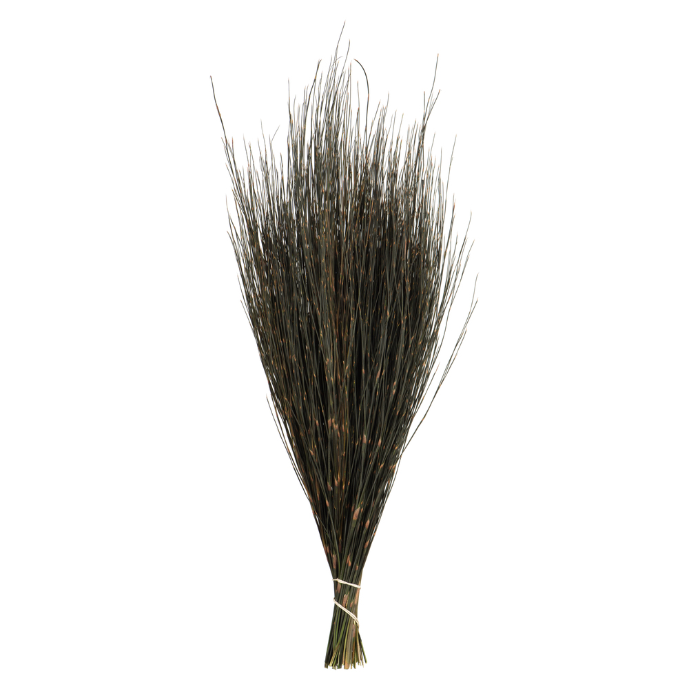 Vickerman 15-20" Natural Bell Grass, Preserved