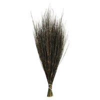 Vickerman 15-20" Natural Bell Grass, Preserved