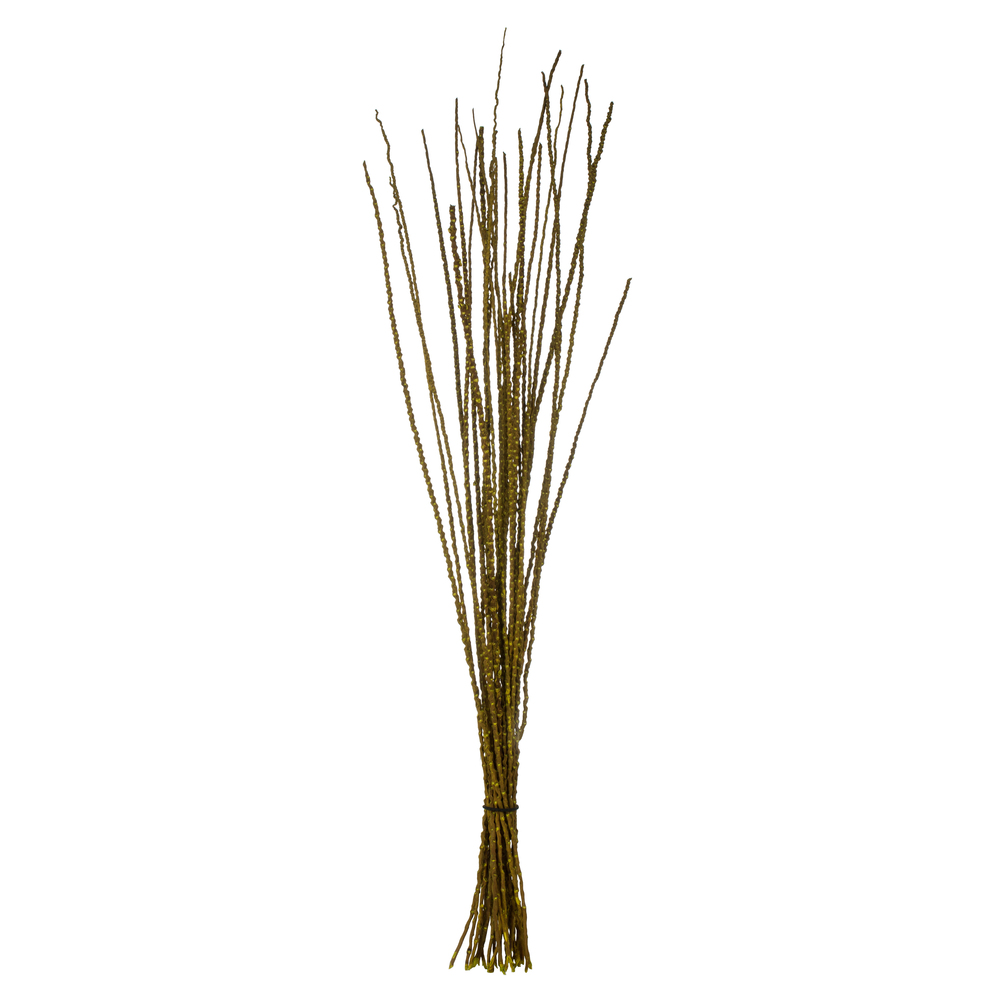 Vickerman 36"-40" Caba Spine Bundle, Dried 24oz