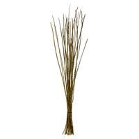 Vickerman 36"-40" Caba Spine Bundle, Dried 24oz
