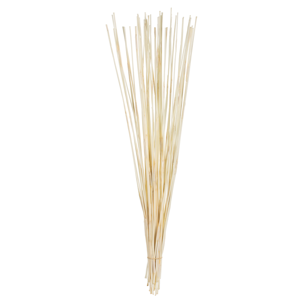 Vickerman 40" Elephant Reed, Dried