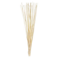 Vickerman 40" Elephant Reed, Dried