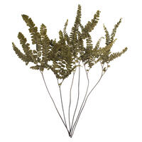 6-10" Green Felci Fern Stem - 6/pk