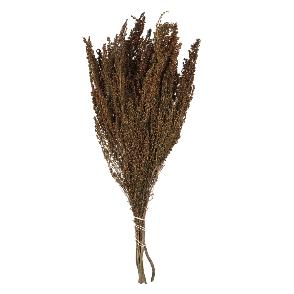 Vickerman 18-20" Heather Bundle, Preserved