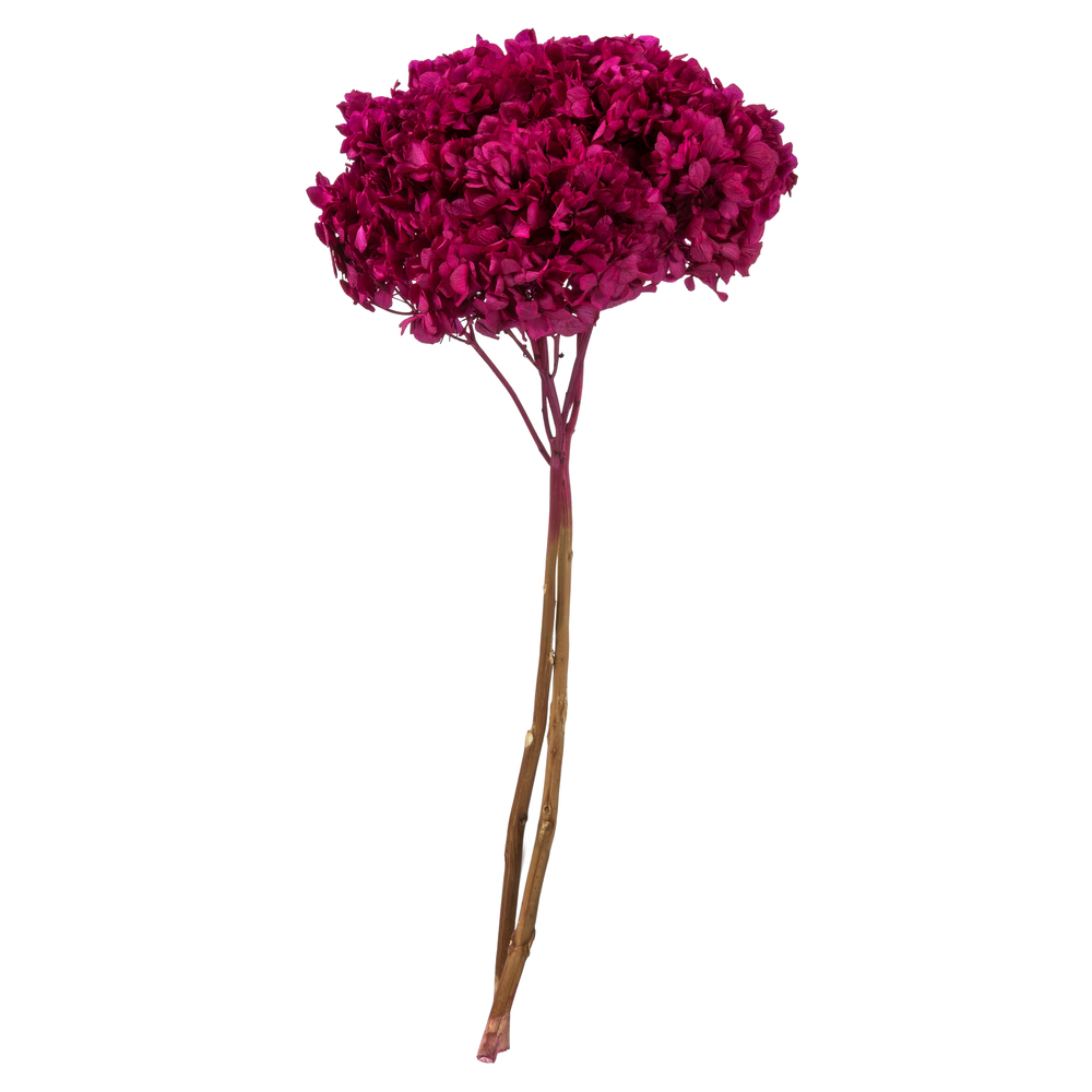 Vickerman Natural Botanicals 15” Hydrangea with Multiple Branch Segments, Preserved