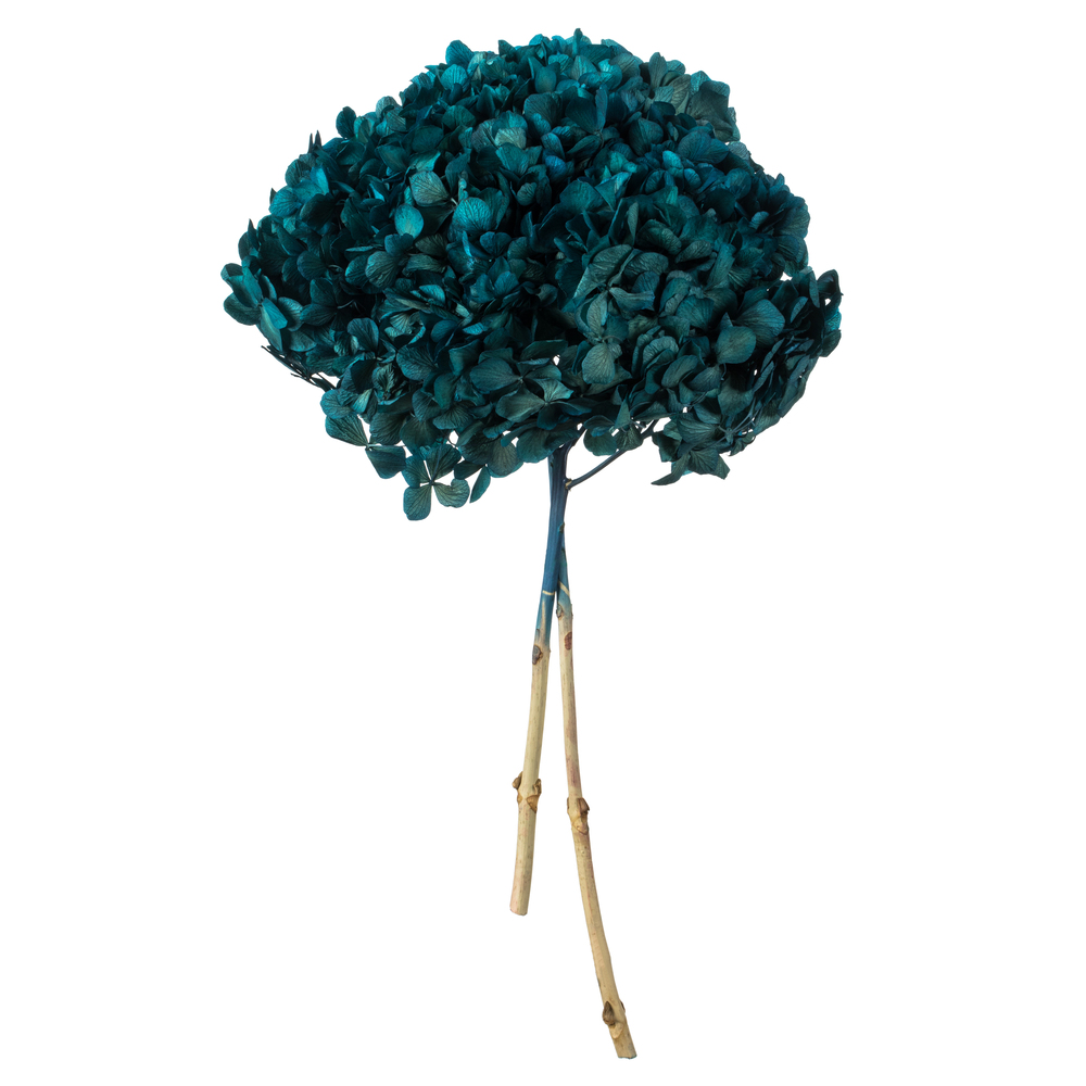Vickerman Natural Botanicals 15” Hydrangea with Multiple Branch Segments, Preserved