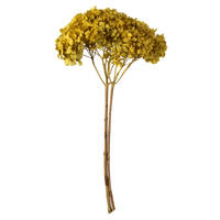 Vickerman Natural Botanicals 15” Hydrangea with Multiple Branch Segments, Preserved