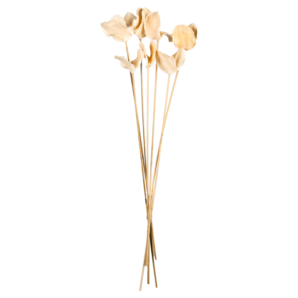 Vickerman 15-17" Bleached Jacaranda, Dried