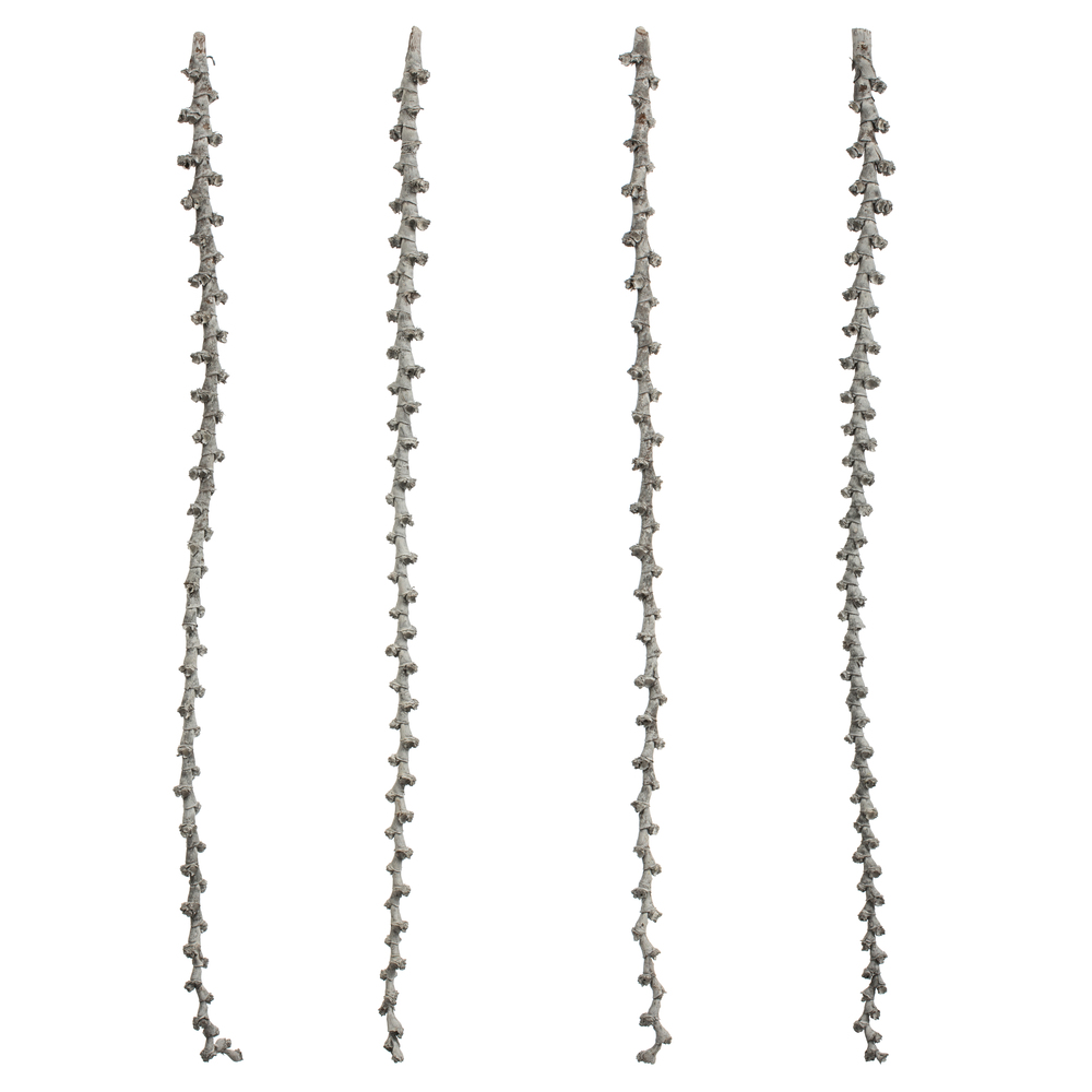 Vickerman Ladder Branches, Dried
