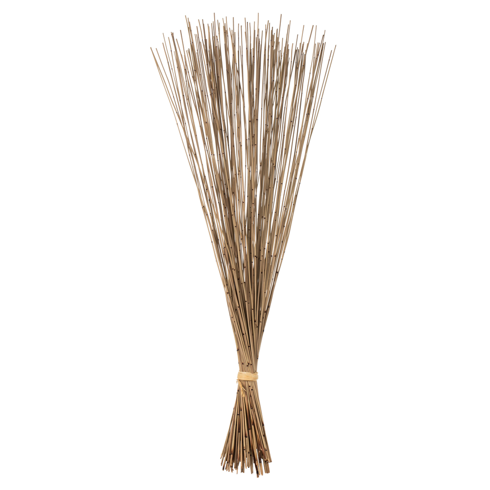 Vickerman Marsh Reed Bundle
