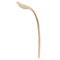 Vickerman 20-24" Ninja Wood, Dried