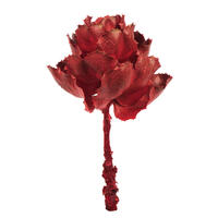 Vickerman 8" Queen Flower Stem, Dried