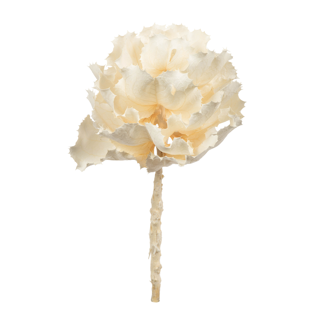Vickerman 8" Queen Flower Stem, Dried