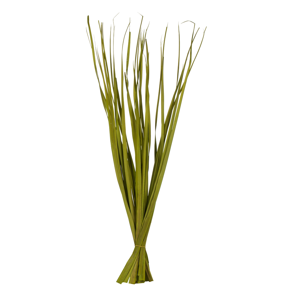 Vickerman Rush Grass, Dried 7oz