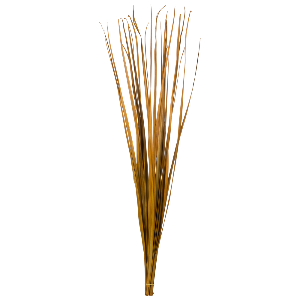 Vickerman Sable Grass, Dried