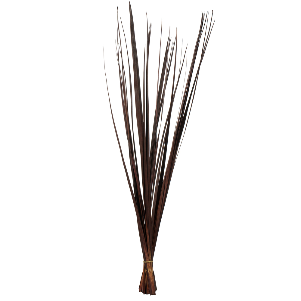 Vickerman Sable Grass, Dried