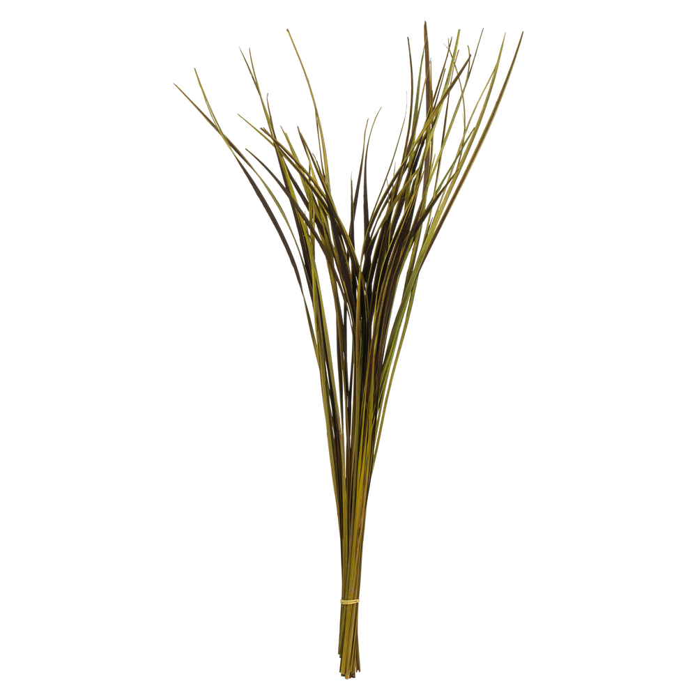 Vickerman 28" Splinter Grass, 11oz Dried