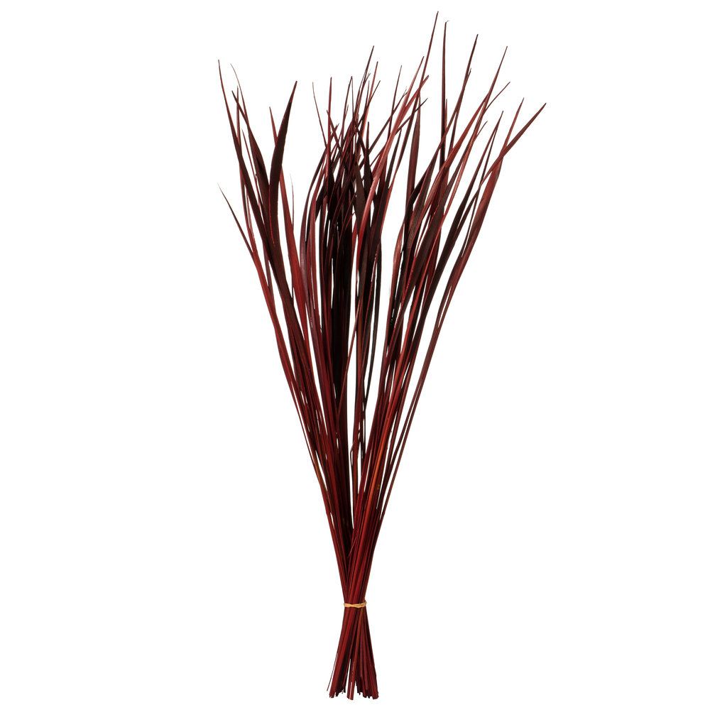 Vickerman 28" Splinter Grass, 11oz Dried