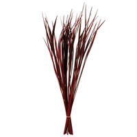 Vickerman 28" Splinter Grass, 11oz Dried