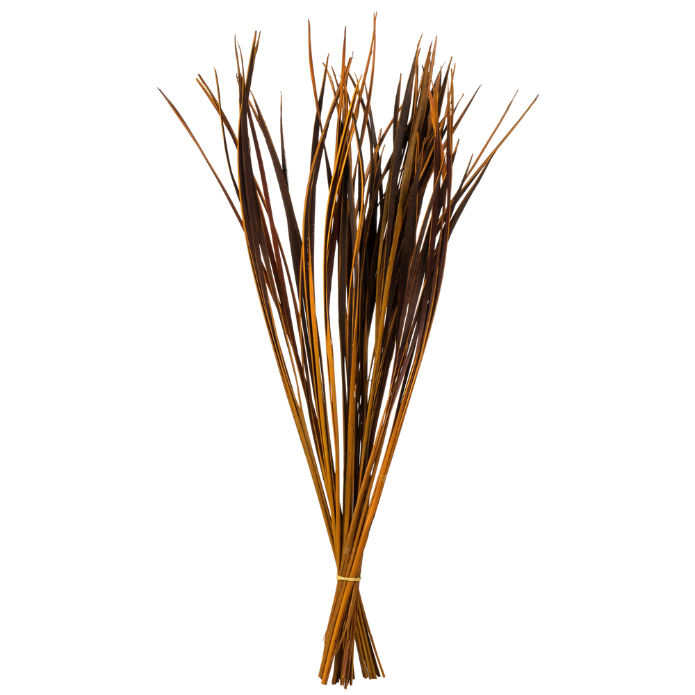 Vickerman 28" Splinter Grass, 11oz Dried