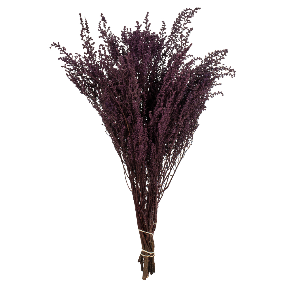 Vickerman 14"-18" Stoebe Bundle, Preserved