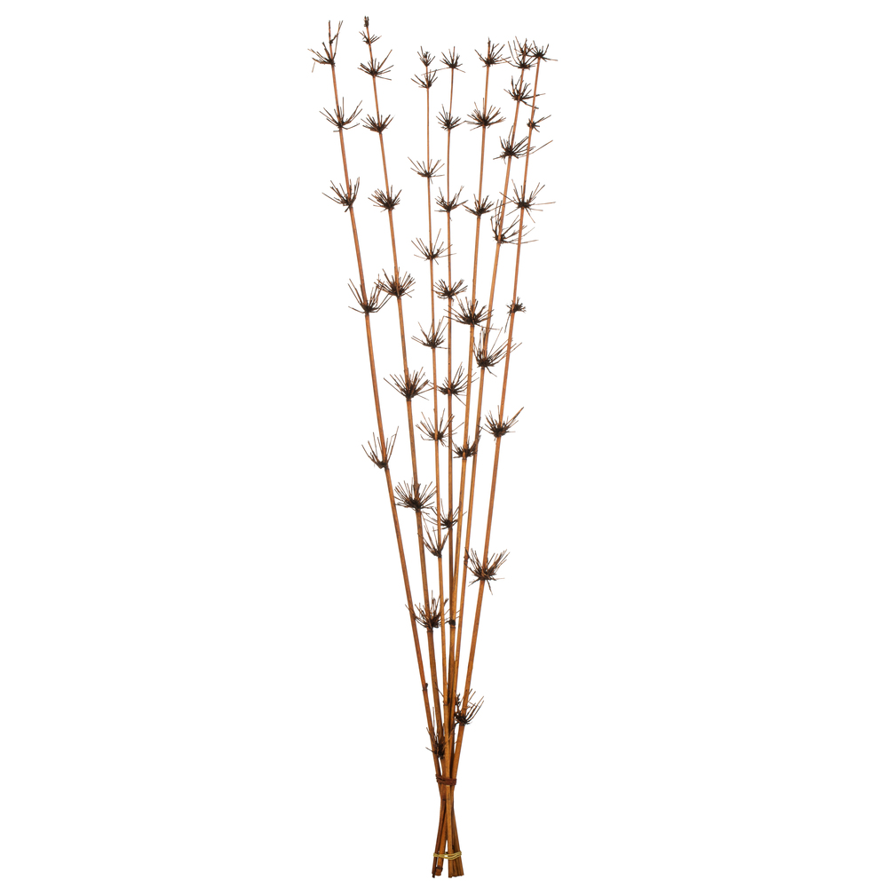 Vickerman 36-40" Star Bamboo Reed Stem, Dried