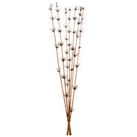 Vickerman 36-40" Star Bamboo Reed Stem, Dried