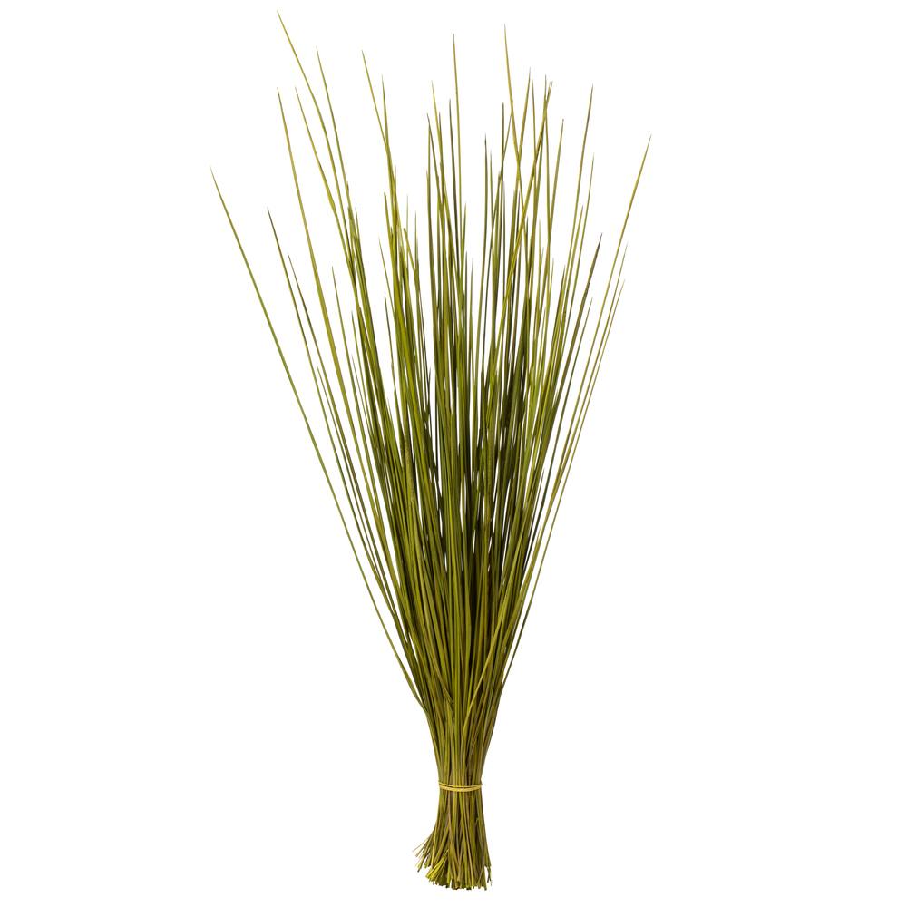 24-30" Basil Whip Grass Bundle - 8 oz