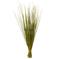 24-30" Basil Whip Grass Bundle - 8 oz