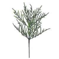 24" Norfolk Pine Spray 10T