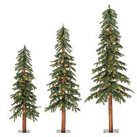 4' 5' 6' Natural Alpine Set LED 450WW