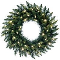 24" Camdon Fir Wreath LED 50WW