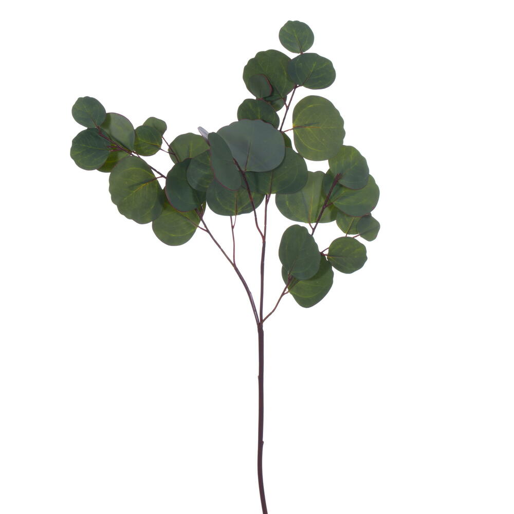 Vickerman Artificial Green Silver Dollar Populus Eucalyptus Collection