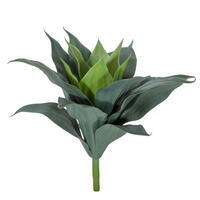 10" Frost Green Aeonium Pick UV 2/Bag