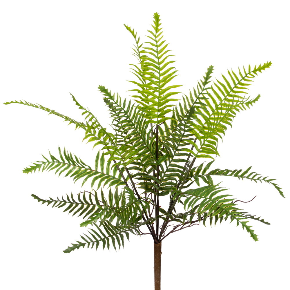23" Green Boston Fern Bush UV 2/Bag