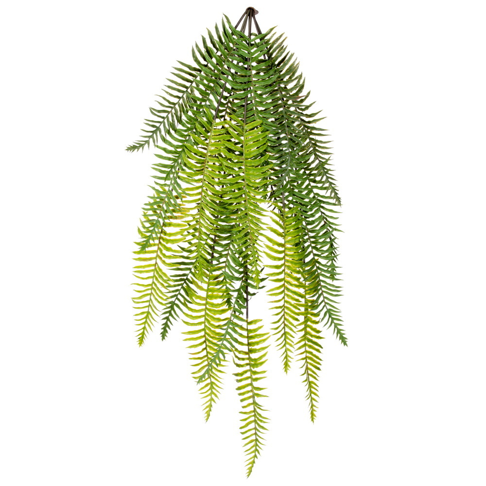 35" Green Boston Fern Hanging Bush UV