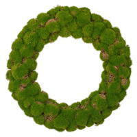 24" Faux Moss Pod Wreath