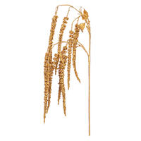 44" Gold Amaranthus Spray 2/Bag