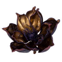 Vickerman 7" Gold Glitter Magnolia Clip