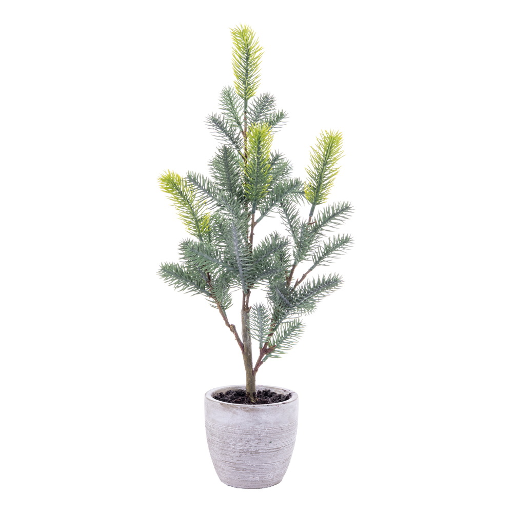 Vickerman Blue Spruce Series