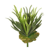 13" Staghorn Fern Bush Frosted-Green